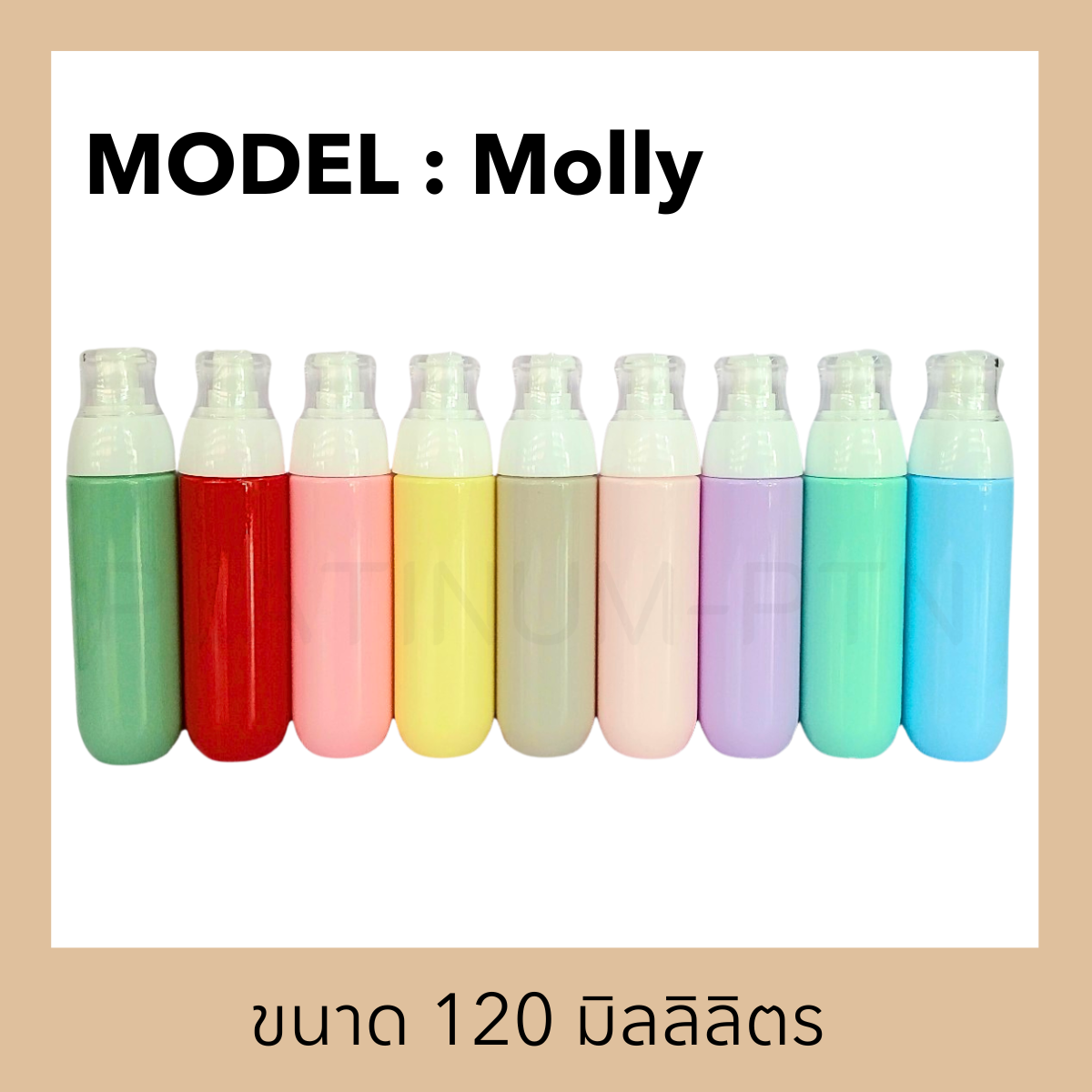 มอลลี่(3)